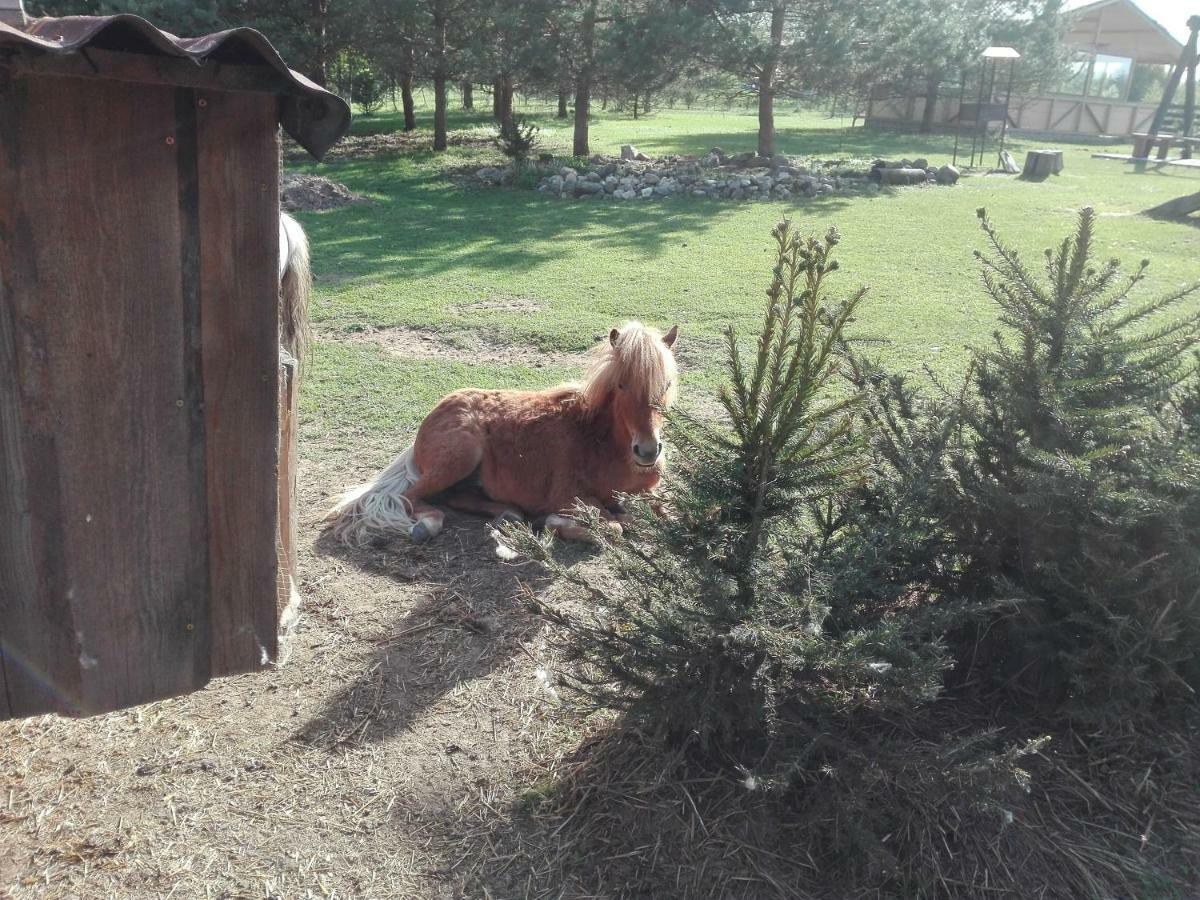 Summerland Tinuzi Dış mekan fotoğraf